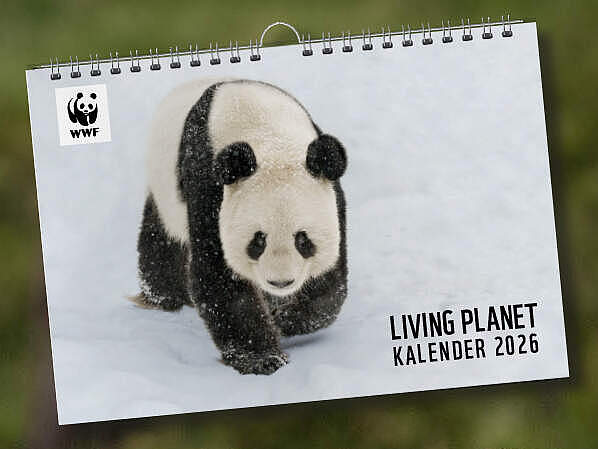Zwei Elefanten mit verschränkten Rüsseln zusammen mit einem Bild des Living Planet Kalenders 2026