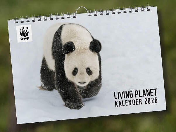 Zwei Elefanten mit verschränkten Rüsseln zusammen mit einem Bild des Living Planet Kalenders 2026