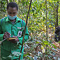 Veterinär in Dzangha-Sanga überwacht den Zustand der Gorillas © David Santiago / WWF