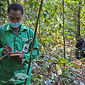 Veterinär in Dzangha-Sanga überwacht den Zustand der Gorillas © David Santiago / WWF