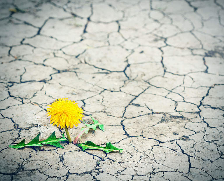 #greenrecovery - Ein grünes Konjunkturpaket © Igor Bukhlin / Getty Images