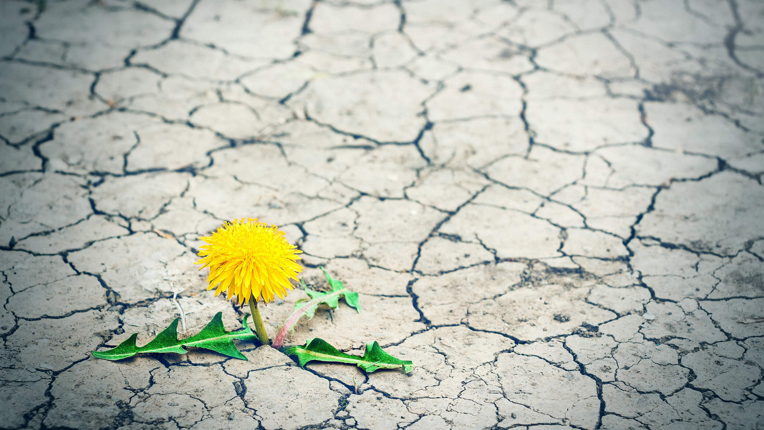 #greenrecovery - Ein grünes Konjunkturpaket © Igor Bukhlin / Getty Images