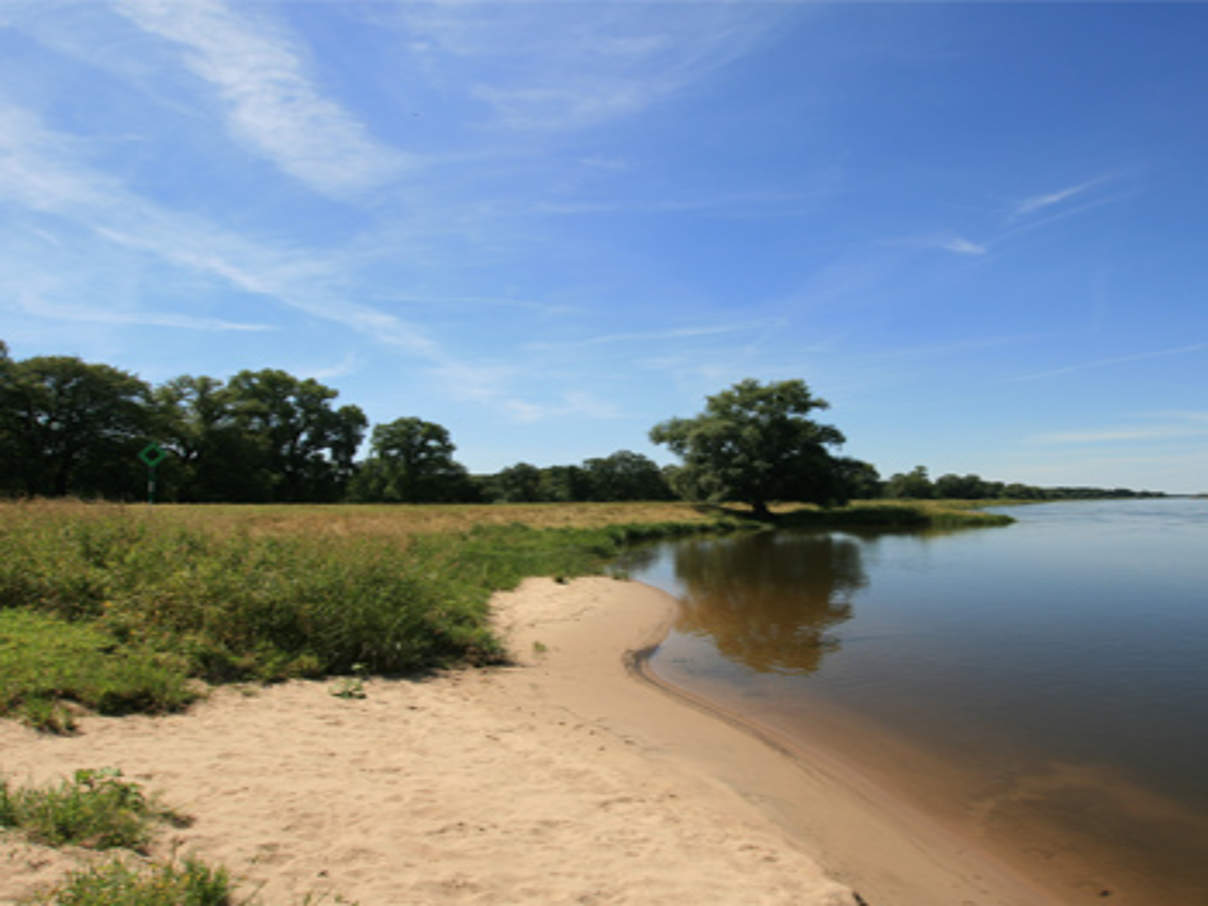 Mittlere Elbe bei Dessau (c) Bernd Eichhorn / WWF