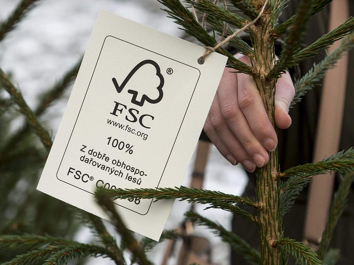 Weihnachtsbaum mit FSC-Siegel © Imago Images / CTK Photo