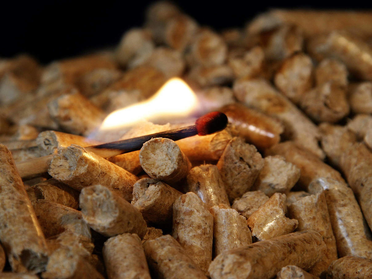 Holzpellets Streichholz c imago images 0129977265h blickwinkel Holzpellets © imago images / blickwinkel