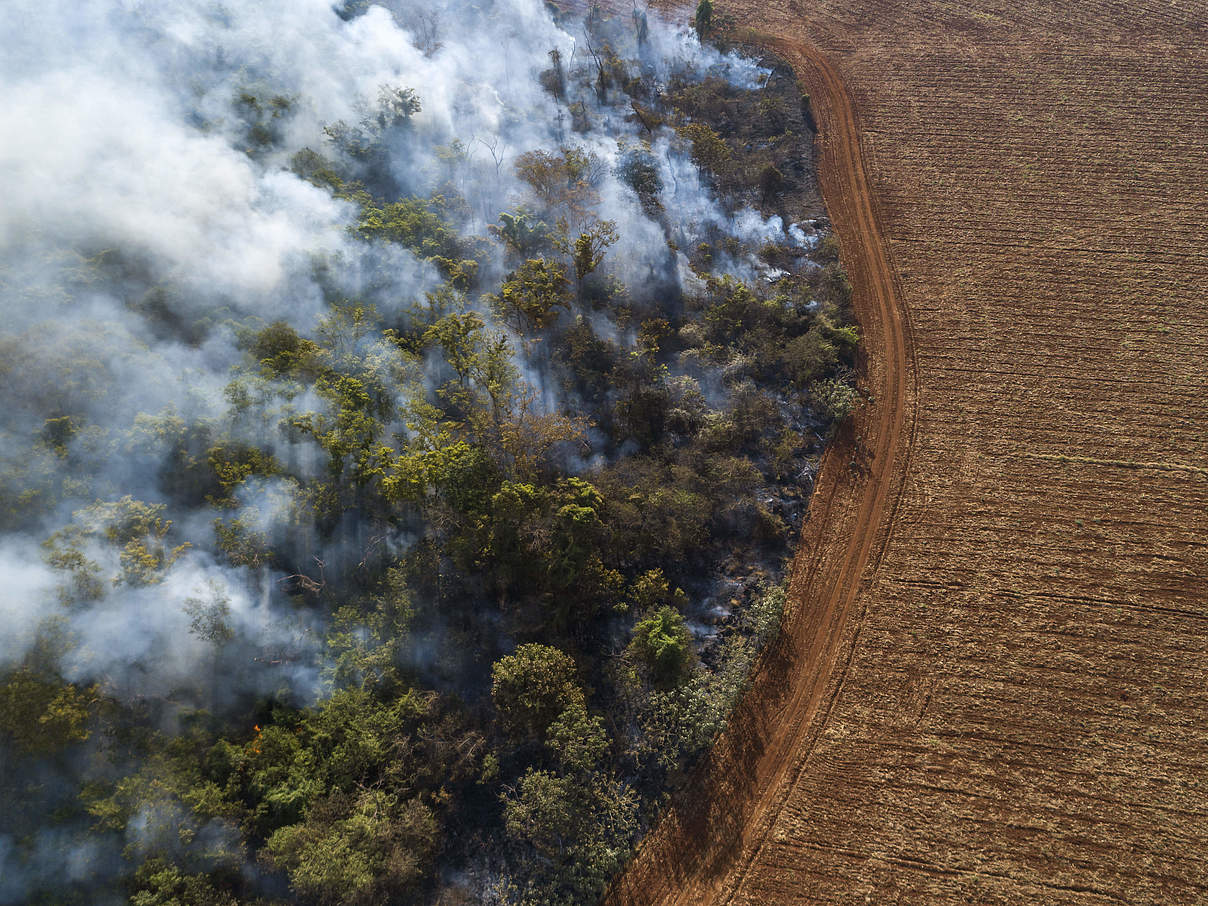 Luftaufnahme des ausgelösten Waldbrandes und der Abholzung für den Anbau von Sojabohnen im Amazonas-Regenwald, Vilhena - Bundesstaat Rondonia. © Andre Dib / WWF-Brazil