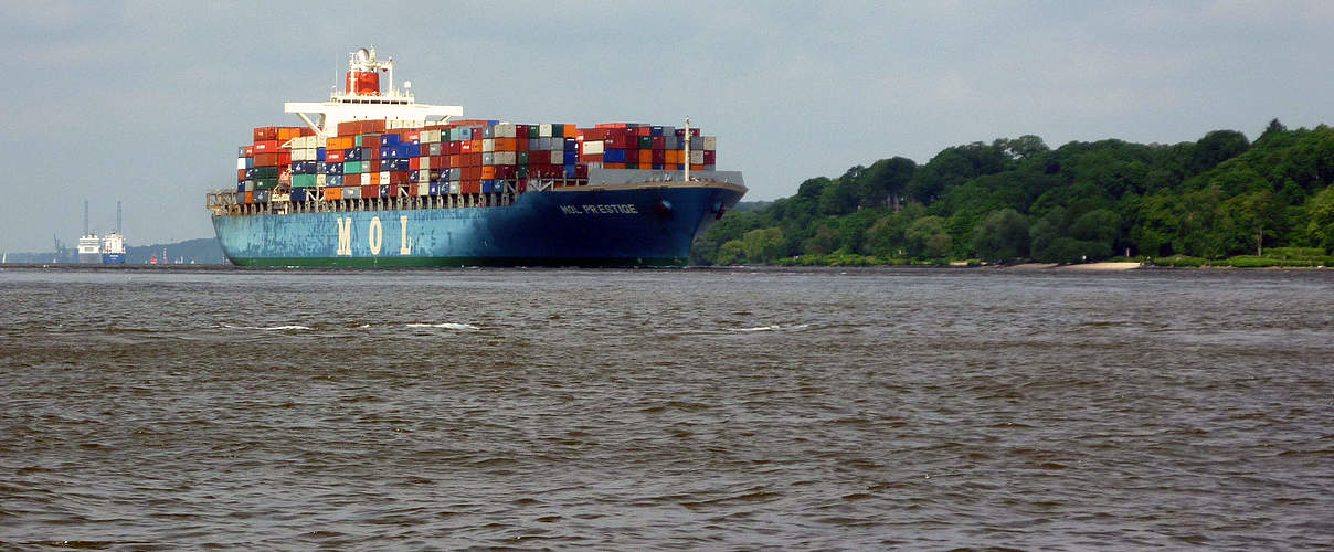 Containerschiff auf der Elbe © Anna Holl / WWF