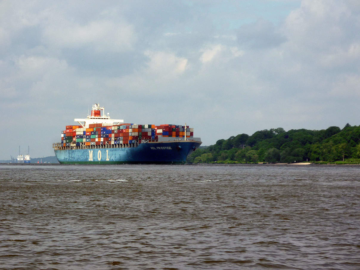 Containerschiff auf der Elbe © Anna Holl / WWF