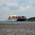 Containerschiff auf der Elbe © Anna Holl / WWF