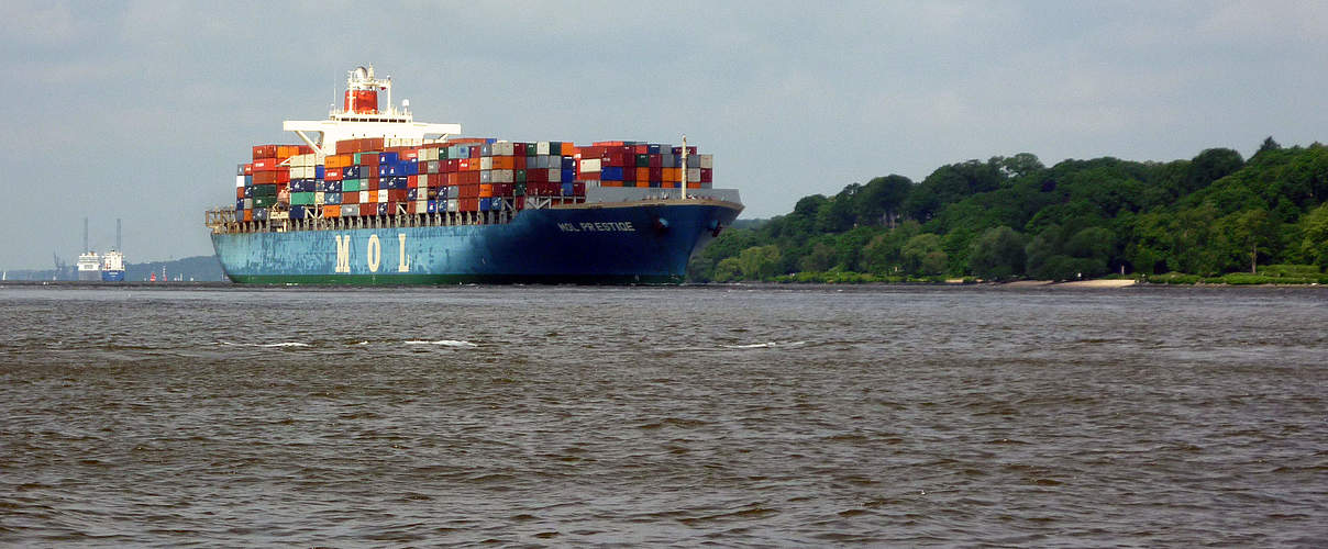 Containerschiff auf der Elbe © Anna Holl / WWF