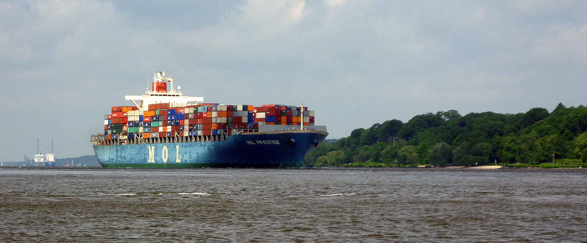 Containerschiff auf der Elbe © Anna Holl / WWF