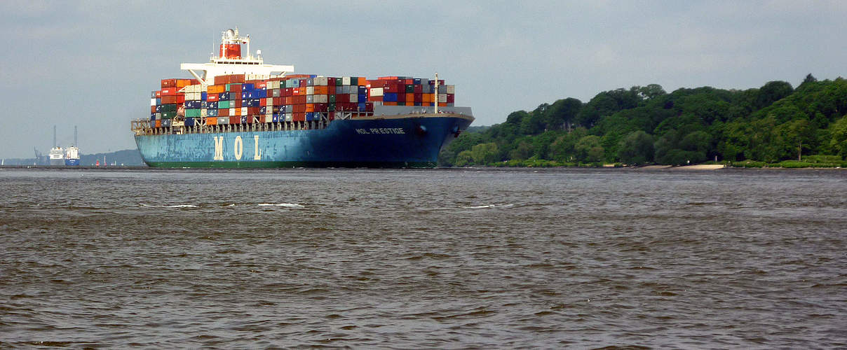 Containerschiff auf der Elbe © Anna Holl / WWF