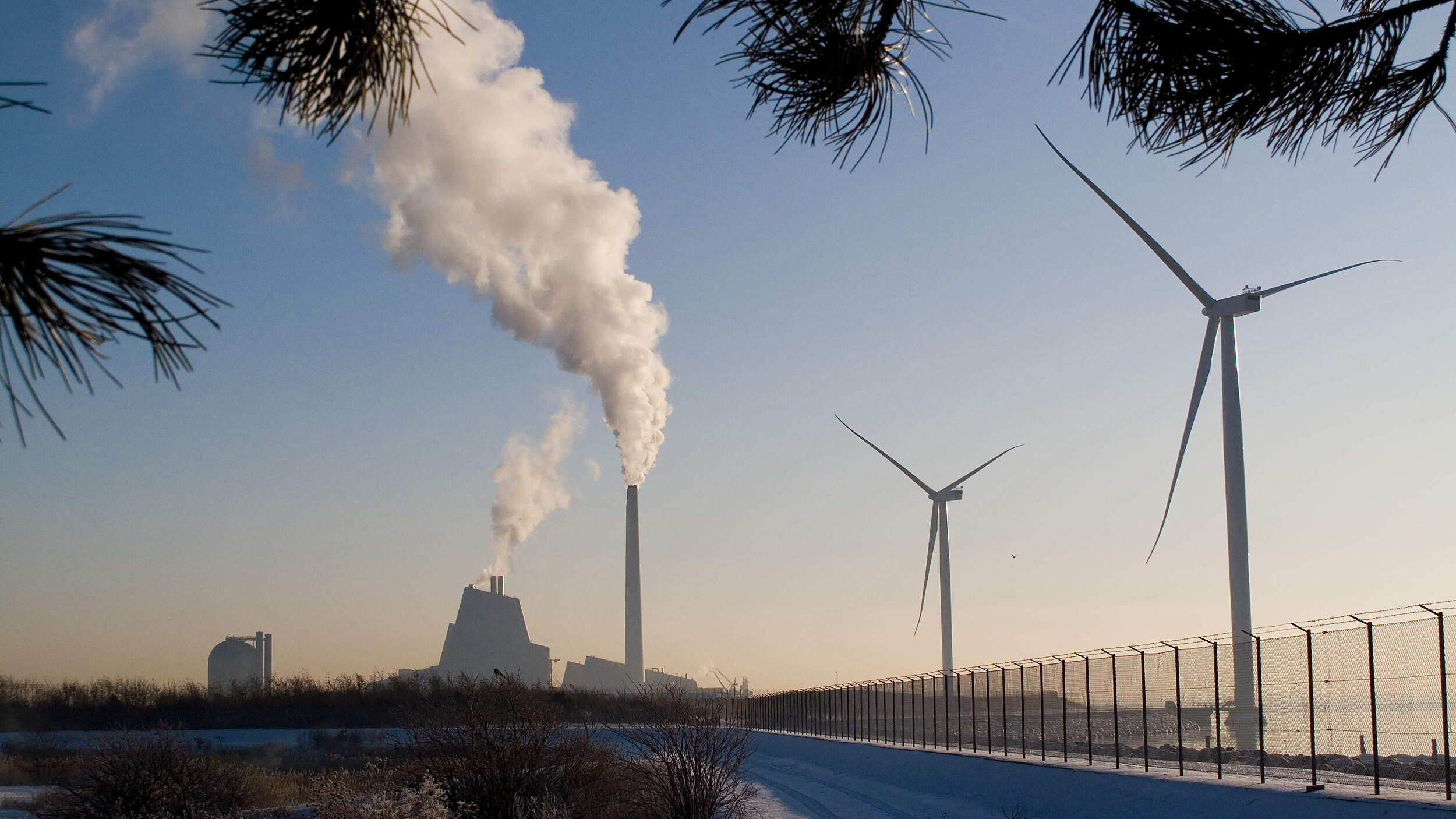 Erneuerbare Energien © Dan Møller / iStock / Getty Images