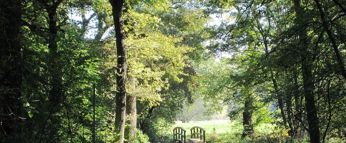 Wanderweg Großkühnau © Bernd Eichhorn