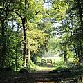 Wanderweg Großkühnau © Bernd Eichhorn