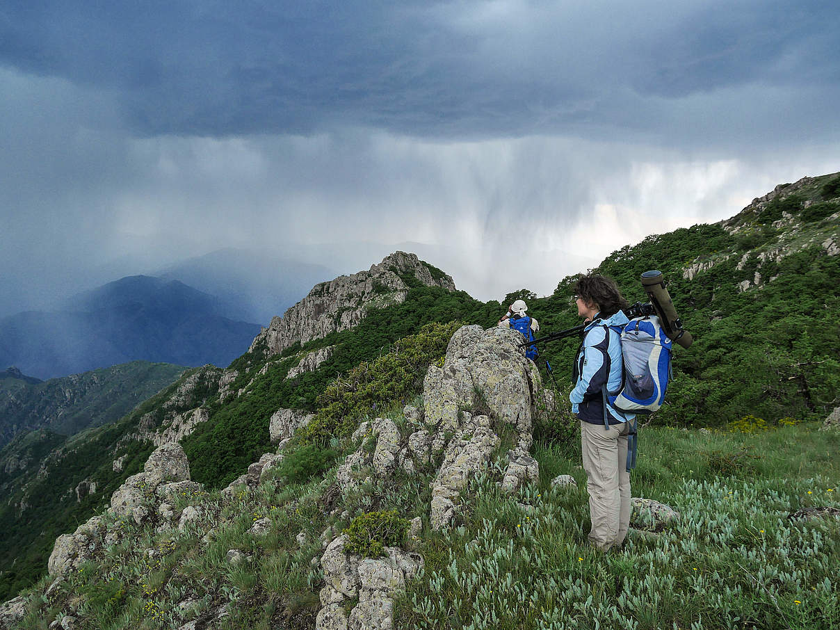 Naturschutzgebiete miteinander verbinden © Andreas Schöllhorn / WWF