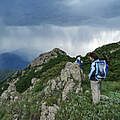 Naturschutzgebiete miteinander verbinden © Andreas Schöllhorn / WWF