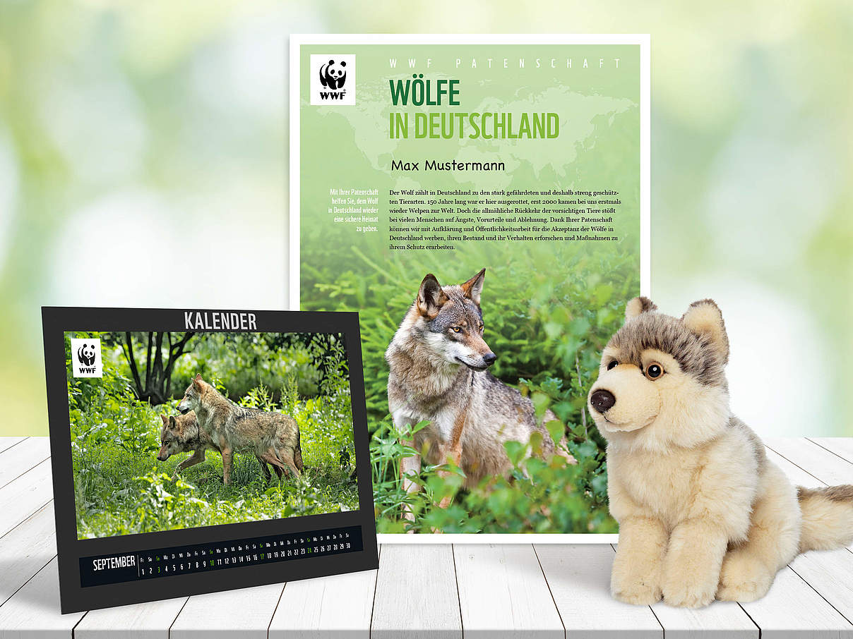 Begrüßungspaket Wolfs-Patenschaft © WWF