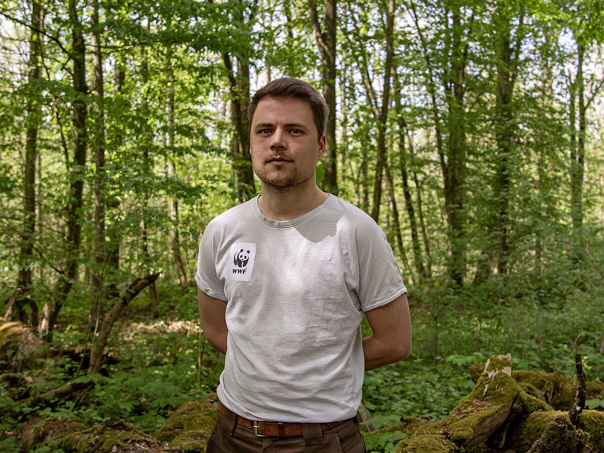Ein Potrait von einem jungen Mann, welcher umgeben von einem grünen, vollen Wald mit Sonnenstrahlen umgeben ist. Er steht mittig, schaut zur Kamera und trägt ein helles Shirt.