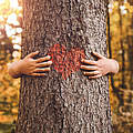 Das Produkt Wald - Weltwald-Onlinemagazin Ausgabe 5 © GettyImages / Przemyslaw Koch