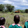 Drei kenianische Mädchen von hinten, vor ihnen ein Elefant