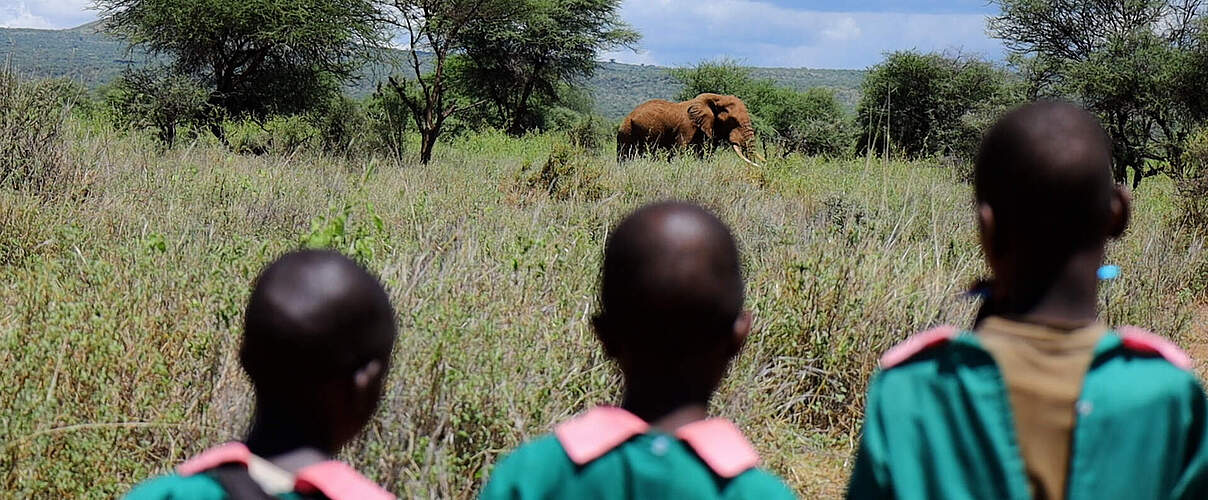 Drei kenianische Mädchen von hinten, vor ihnen ein Elefant