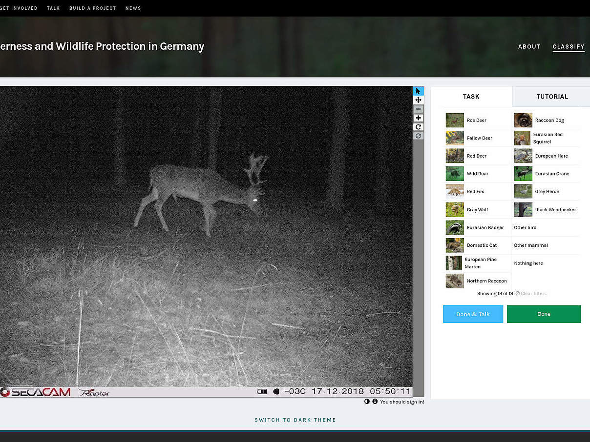 Kamerafallen-Bild, Screenshot der Zooniverse Online-Ranger-Plattform © Zooniverse / WWF Deutschland Kamerafallen-Bild, Screenshot der Zooniverse Online-Ranger-Plattform © Zooniverse / WWF Deutschland