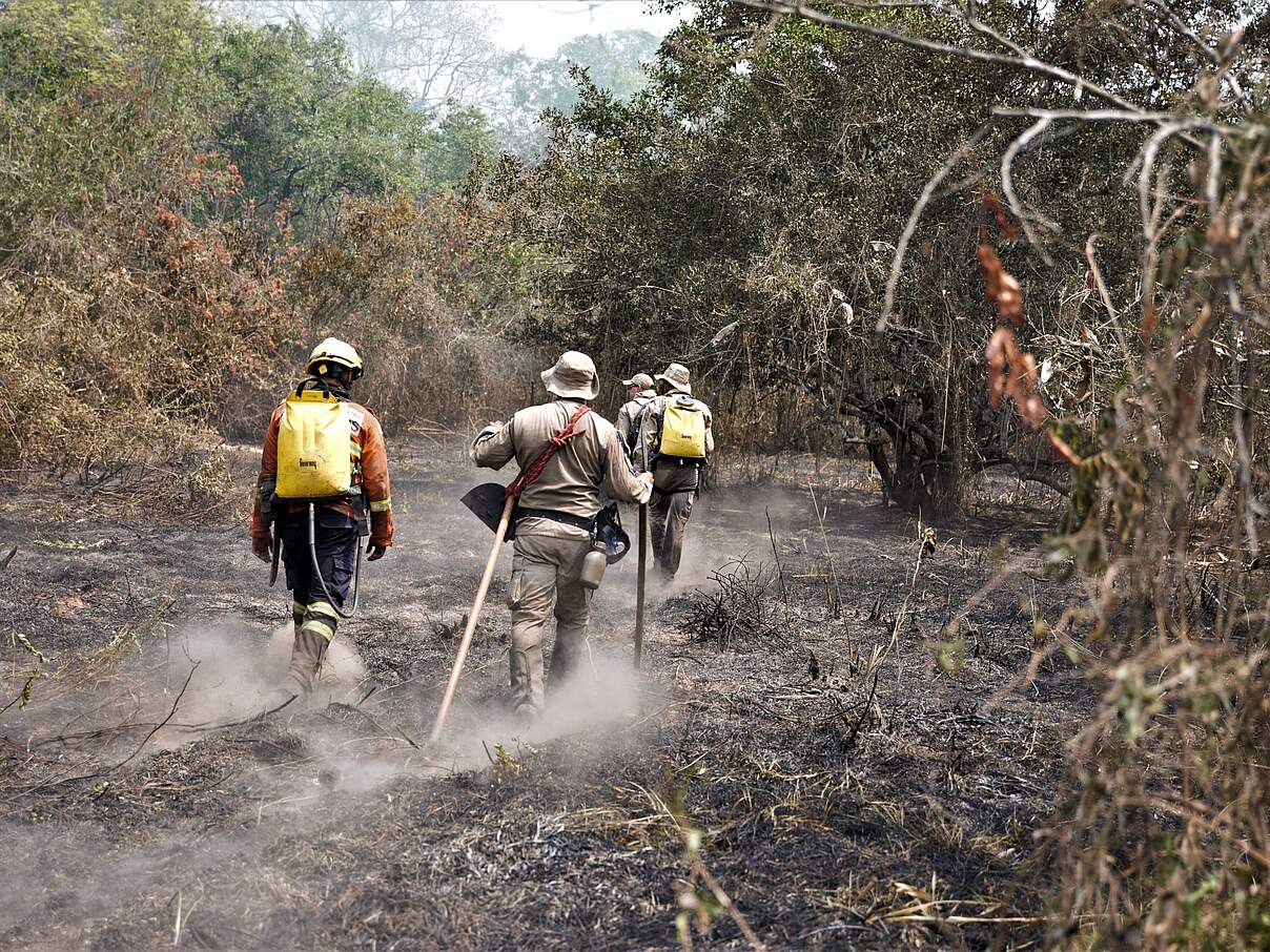 Feuerwehrleute des Militärs bei Waldbränden in 2019 © Rafael de Castro Bento / WWF-Brazil