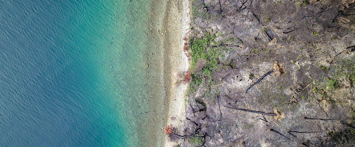 Folgen der Waldbrände in Griechenland