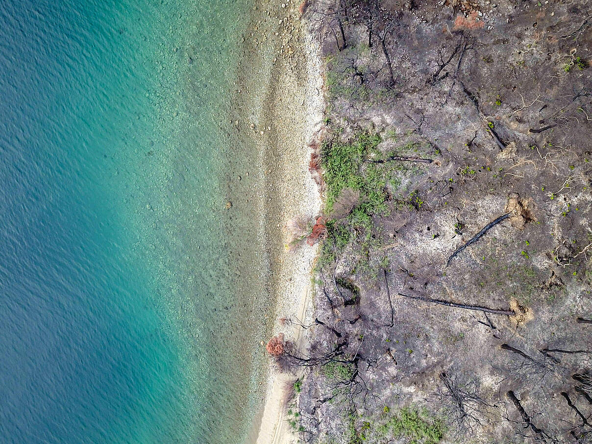 Folgen der Waldbrände in Griechenland