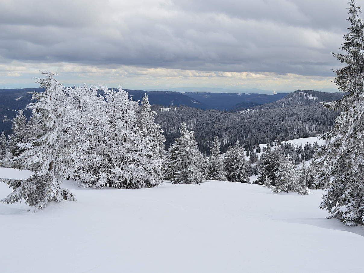 Feldberg im Winter © Mattias Rupp Feldberg im Winter © Mattias Rupp