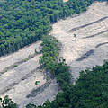 Zerstörung des Regenwalds. © Roberto Maldonaldo / Manuas / WWF