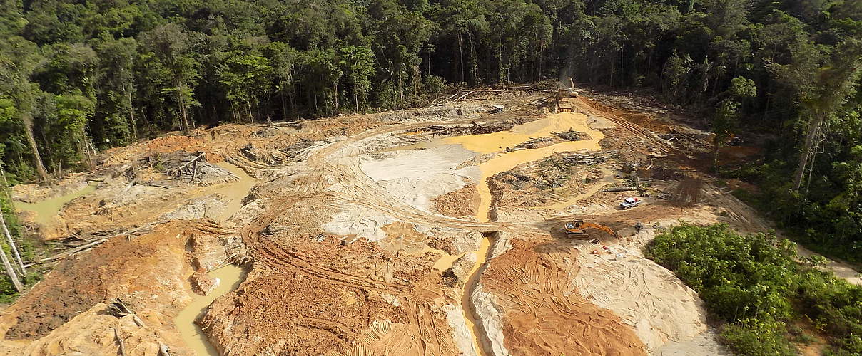 Spuren von Goldabbau im Regenwald © Philippe T. / WWF-France