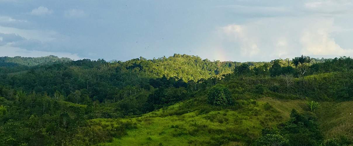 Hügellandschaft Batang Ai © Hari Arti Khalsa / WWF
