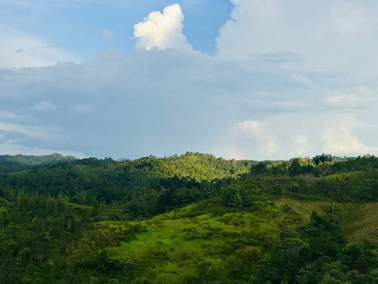 Hügellandschaft Batang Ai © Hari Arti Khalsa / WWF