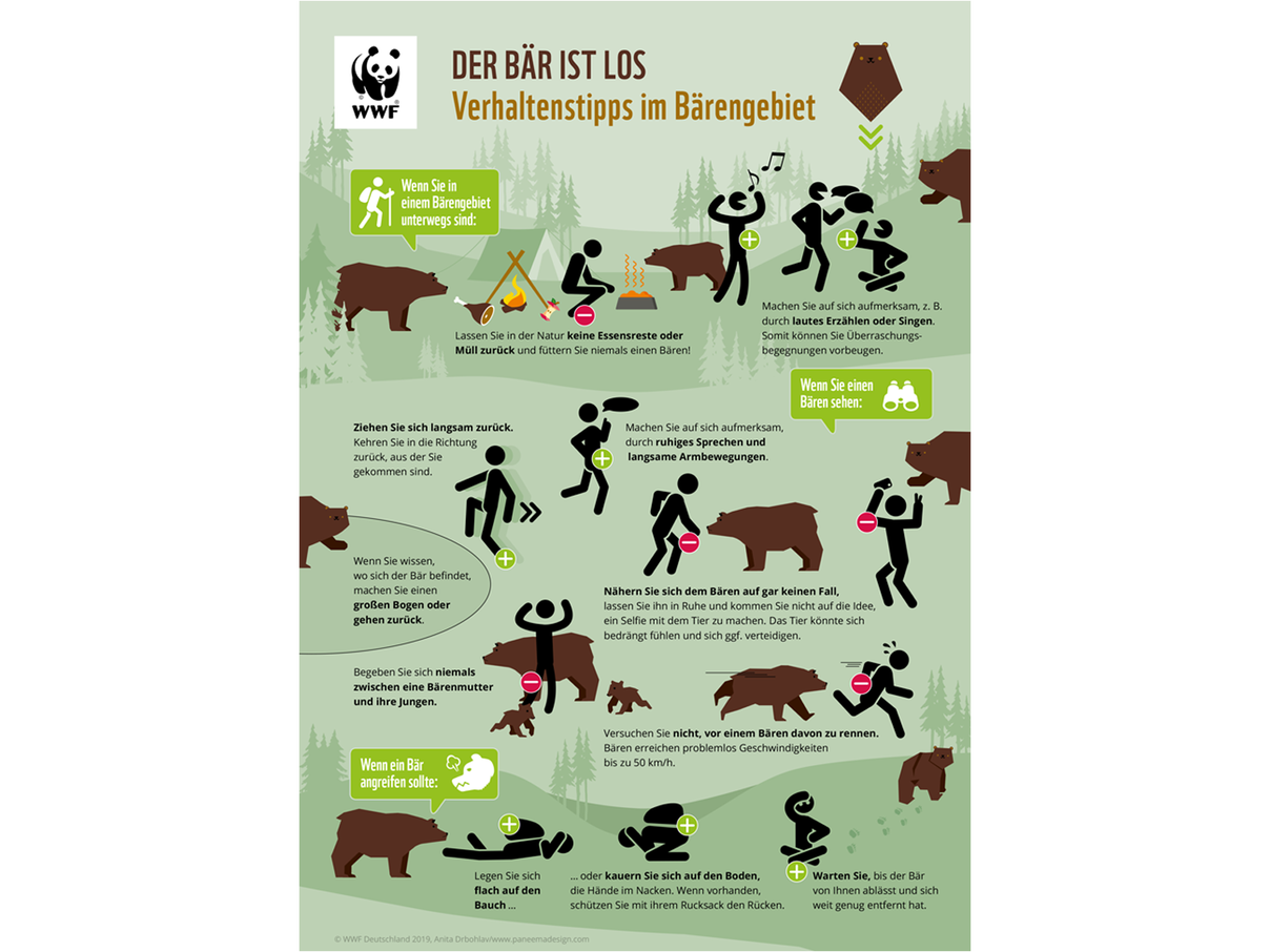 Verhaltenstipps im Bärengebiet © WWF / Anita Drbohlav / paneemadesign.com