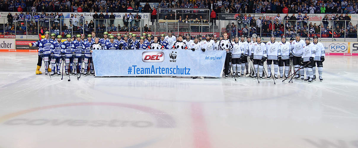 Hier die Iserlohn Roosters beim Spiel gegen die Thomas Sabo Ice Tigers © DEL / City-Press GmbH