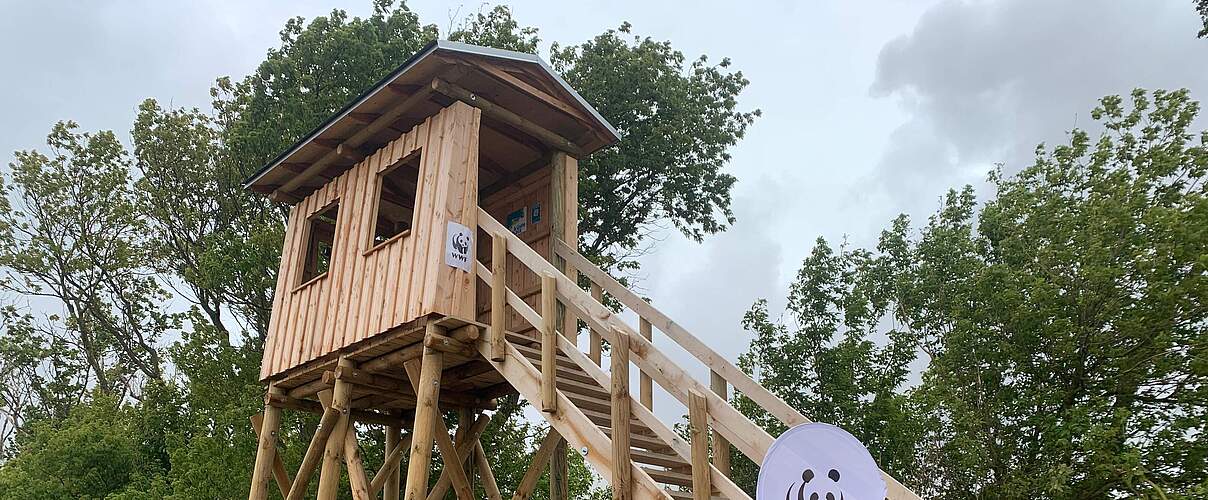 Beobachtungskanzel in Drammendorf 