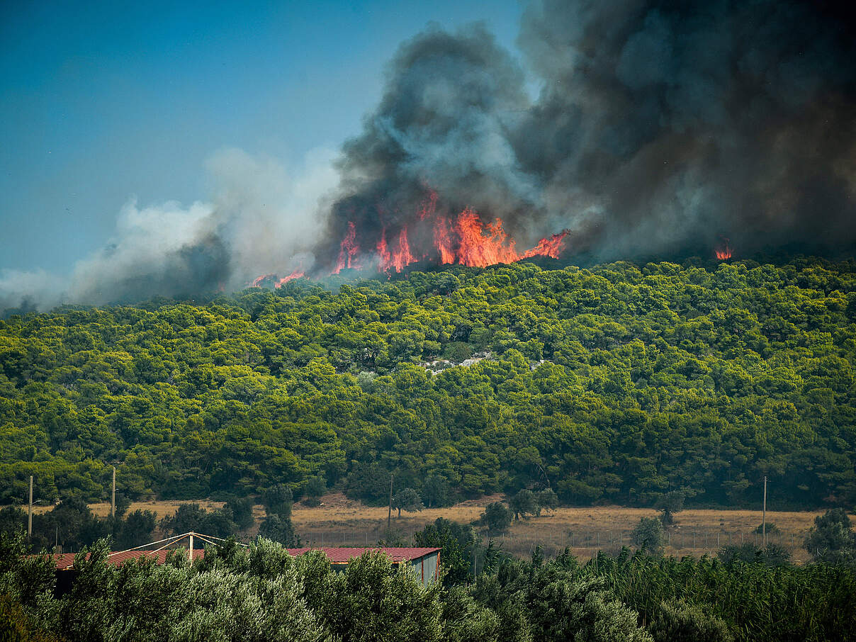 Waldbrand in Athen 