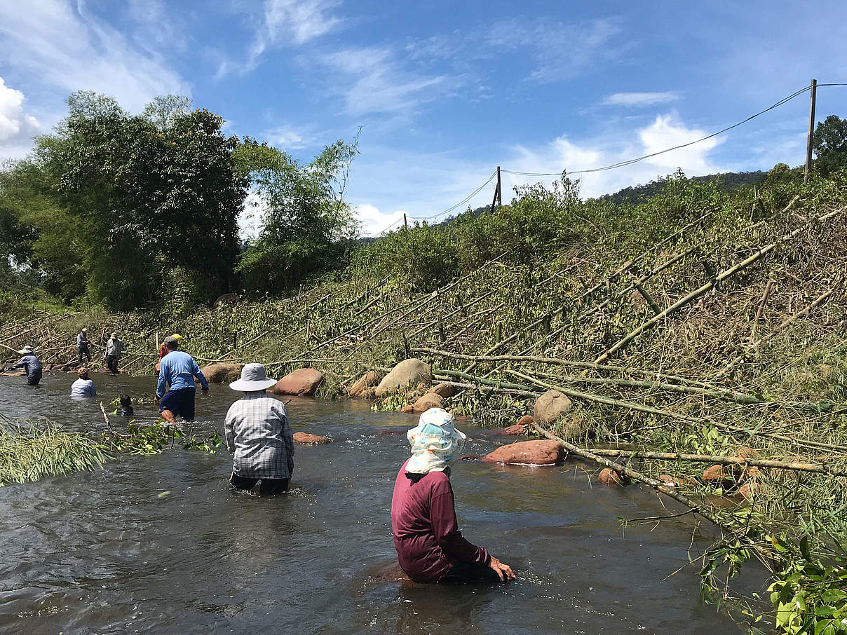 Renaturierung der Flussabschnitte © McKenzie A. Martin / WWF Malaysia