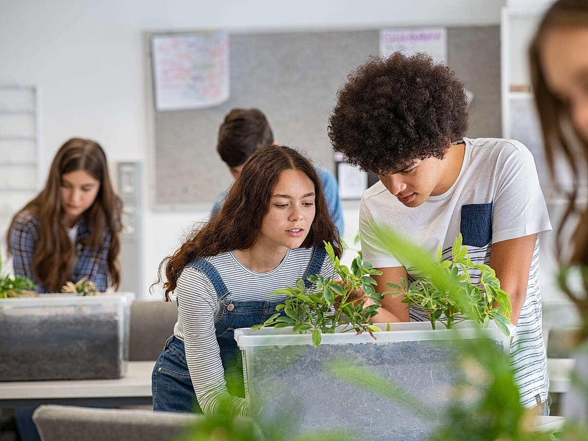 Schüler betrachten Pflanzen im Unterricht © GettyImages