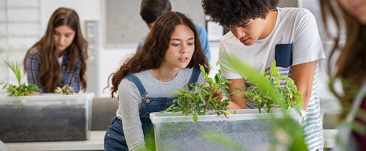 Schüler betrachten Pflanzen im Unterricht © GettyImages