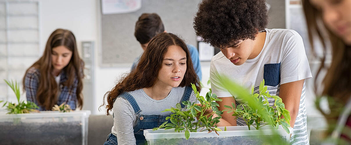 Schüler betrachten Pflanzen im Unterricht © GettyImages