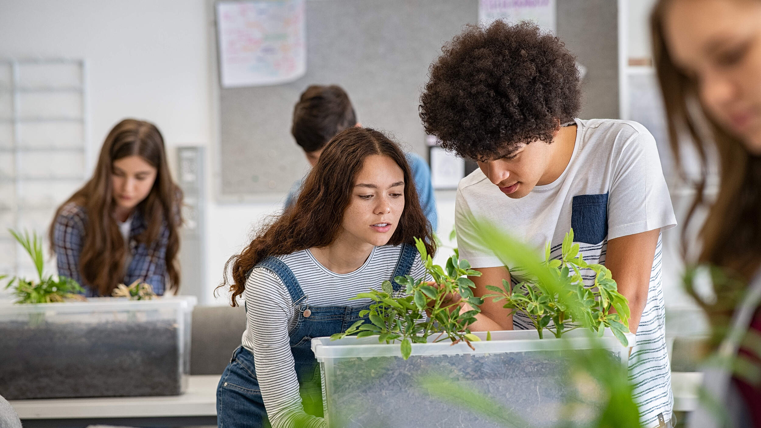 Schüler betrachten Pflanzen im Unterricht © GettyImages