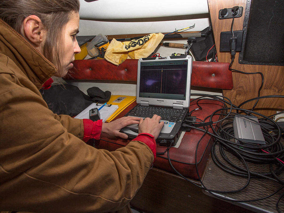 Gabriele wertet die Sonar-Bilder aus © Christian Howe / WWF