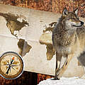 Paten Header Wolf © WWF