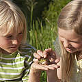Kinder beobachten Frosch © Blickwinkel
