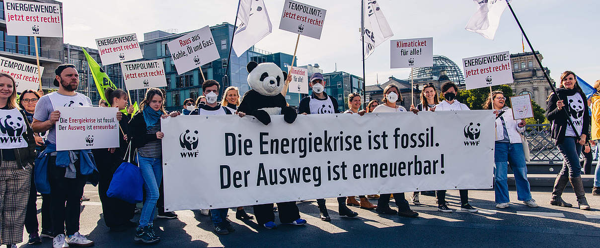 Klimastreik 2022: WWF mit Banner, Schildern & Panda © Markus Winkler / WWF