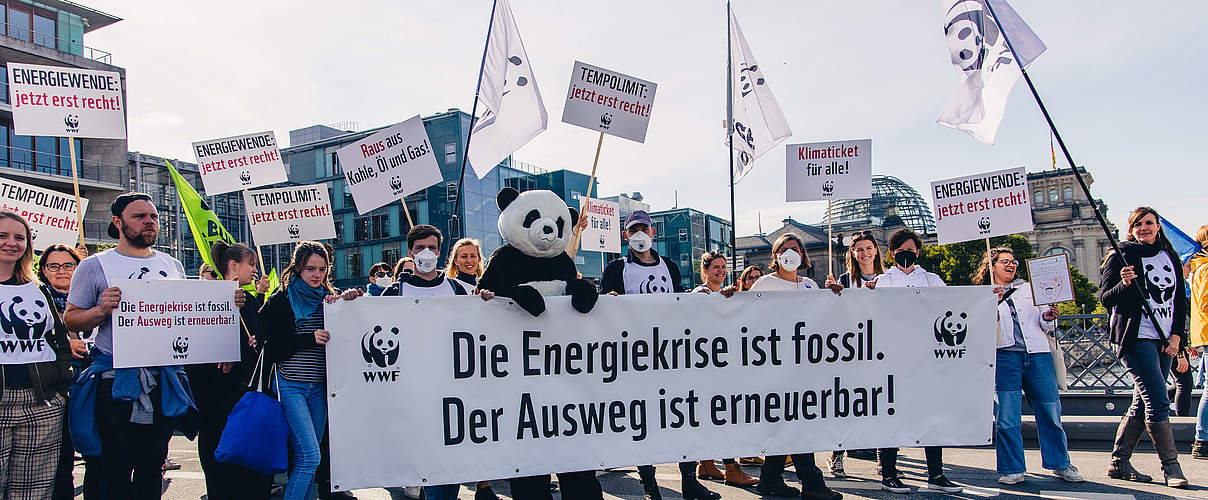 Klimastreik 2022: WWF mit Banner, Schildern & Panda © Markus Winkler / WWF