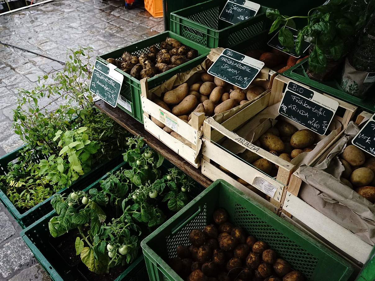 Marktstand mit Bio-Gemüse in Rostock © Lea Brumsack / WWF